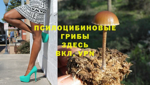 тгк Абаза
