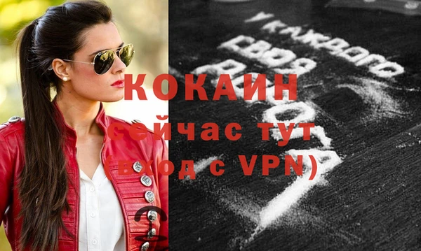 тгк Абаза