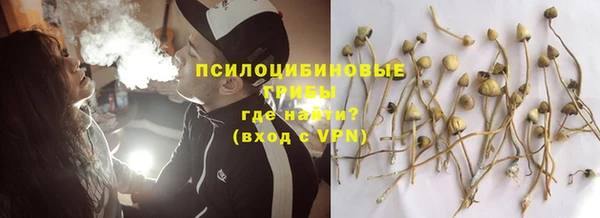 тгк Абаза